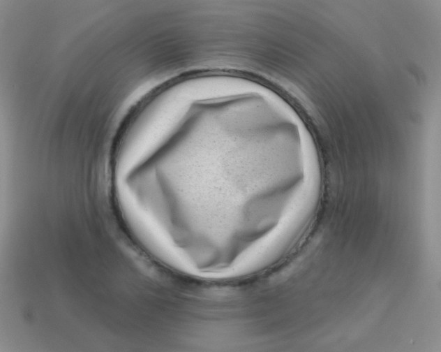 X0000113610982200910161925