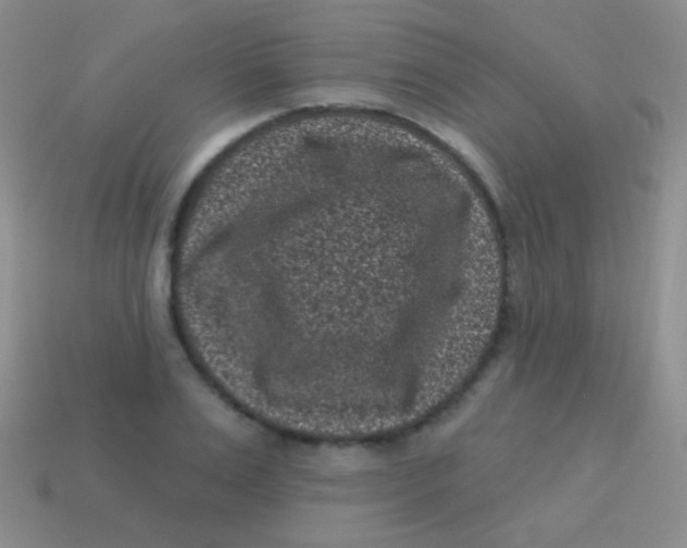 X0000113610983200910161925