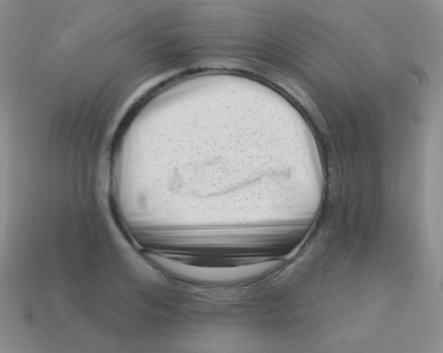 X0000113610984200910161925