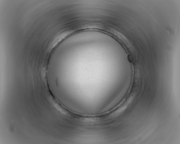 X0000113610985200910161925