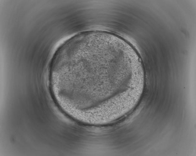 X0000113610987200910161925