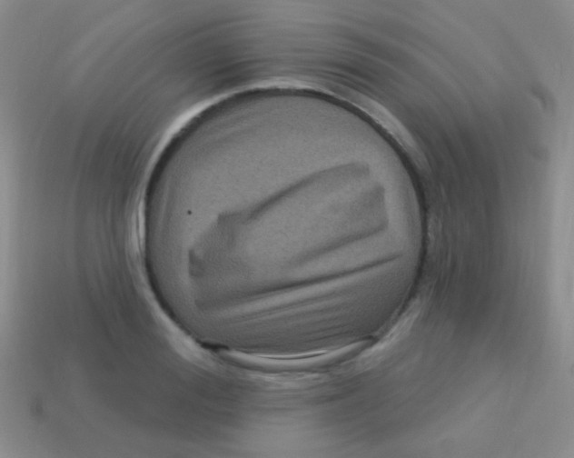 X0000113610988200910161925