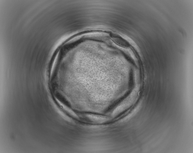 X0000113610989200910161925