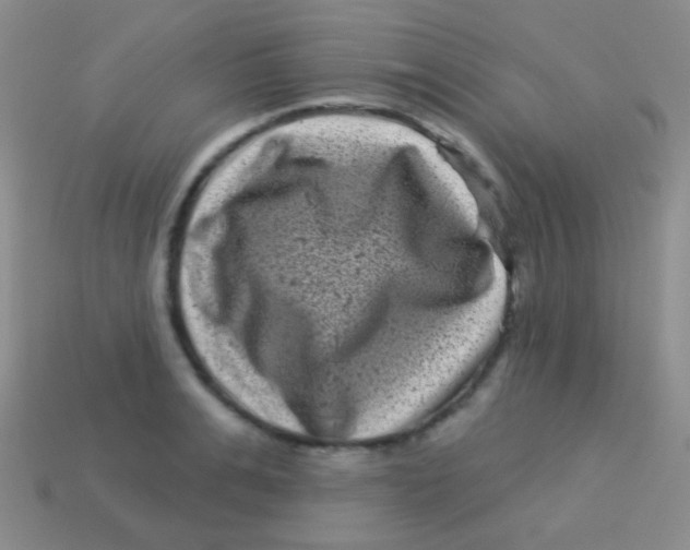 X0000113610991200910161925