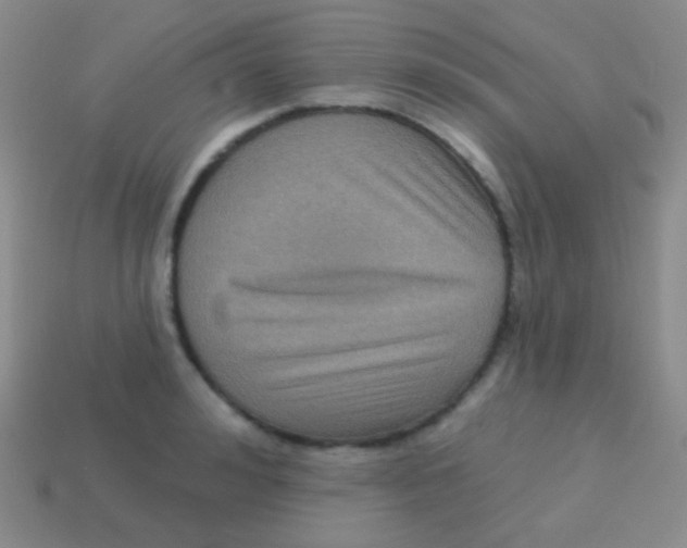 X0000113610992200910161925