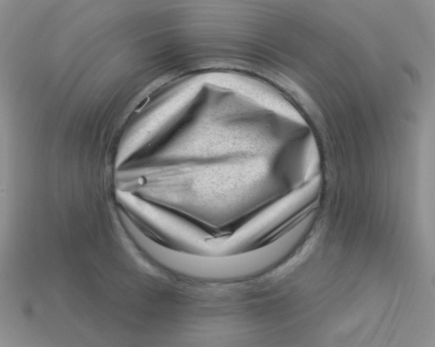 X0000113610993200910161925