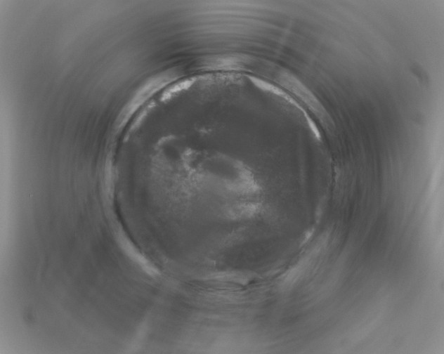 X0000113610994200910161925