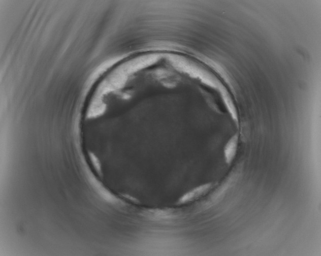 X0000113610995200910161925