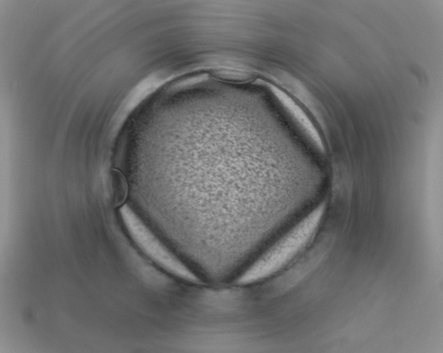 X0000113610997200910161925