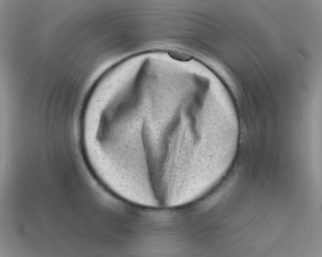 X0000113610999200910161925