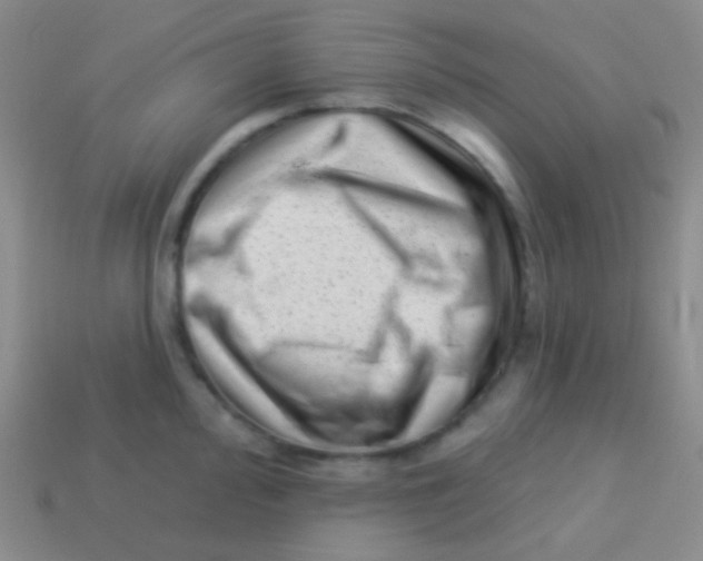 X0000113611000200910161925