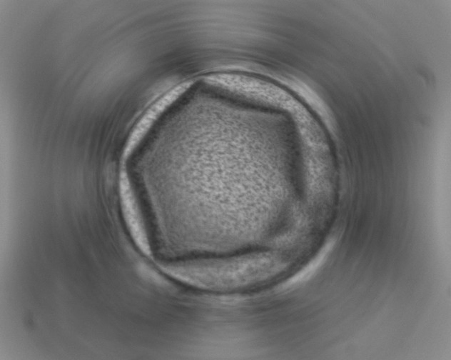 X0000113611001200910161925