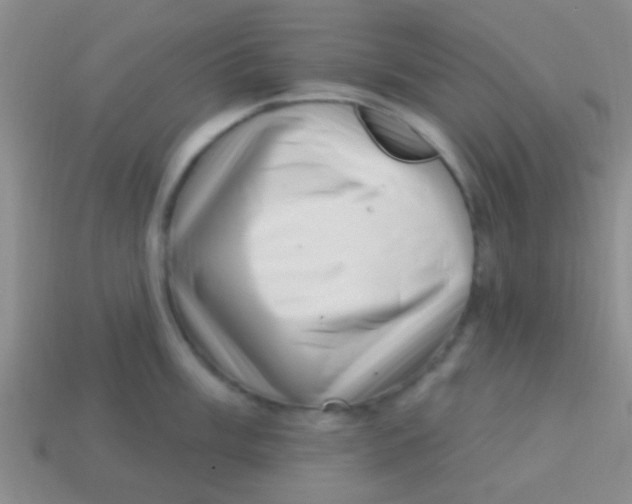 X0000113611003200910161925