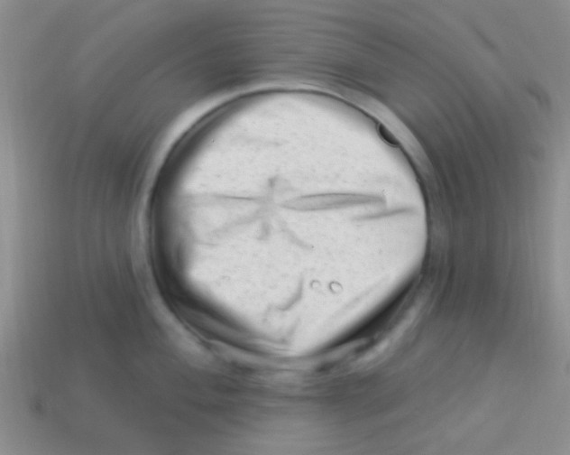 X0000113611004200910161925