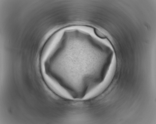 X0000113611006200910161925