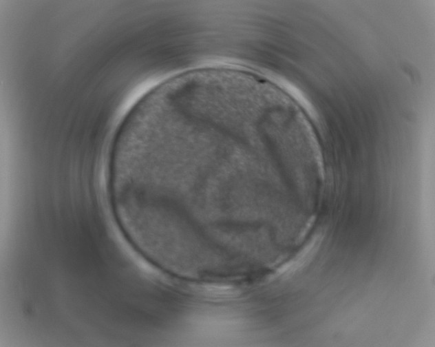 X0000113611007200910161925