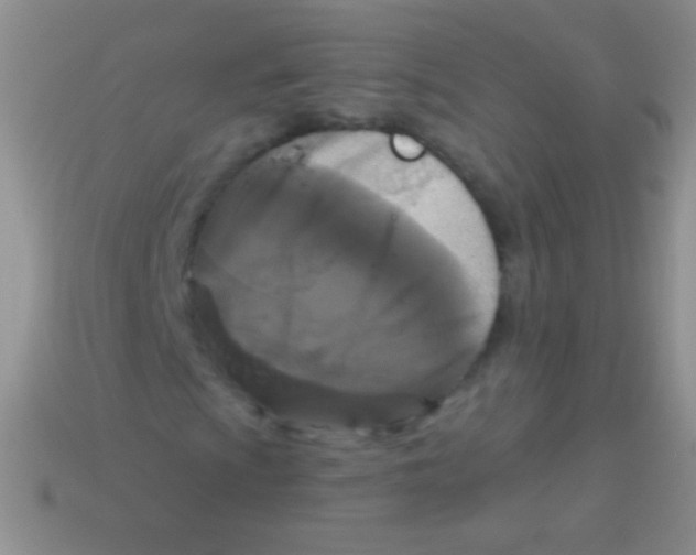 X0000113611009200910161924