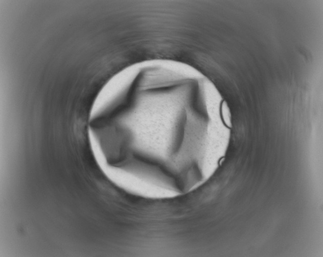 X0000113611010200910161924