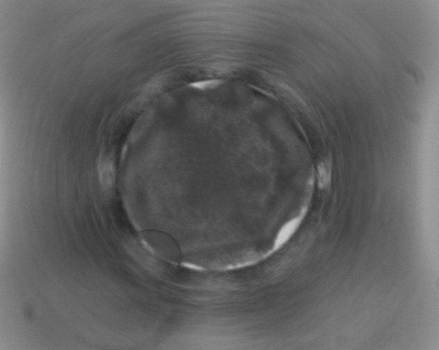 X0000113611011200910161924