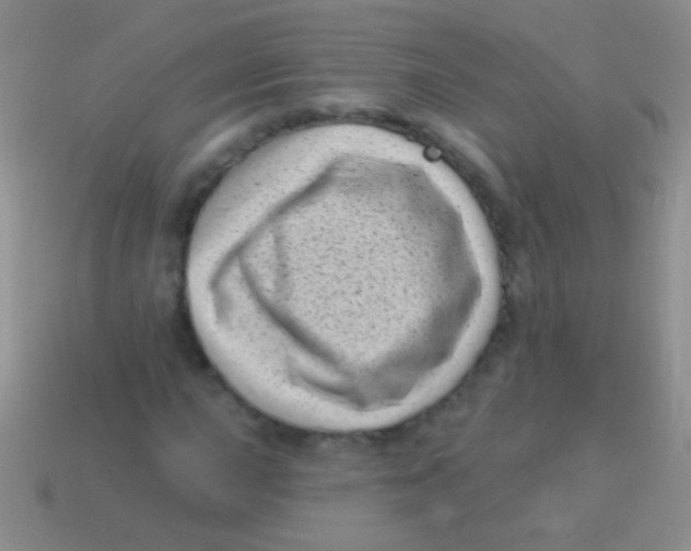 X0000113611015200910161924