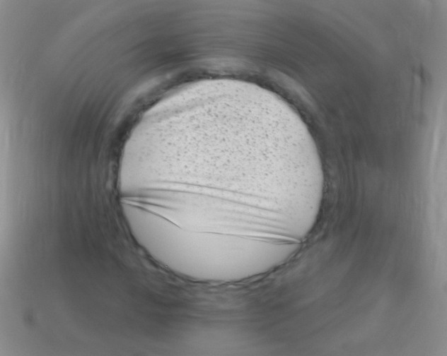 X0000113611016200910161924