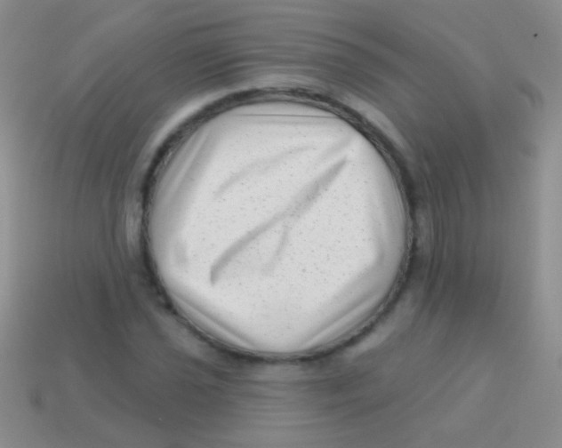 X0000113611021200910161924