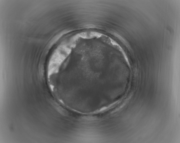 X0000113611023200910161924