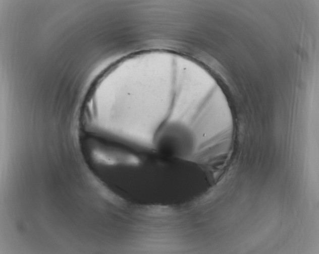 X0000113611024200910161924