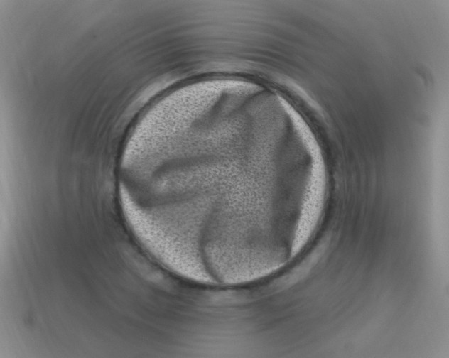 X0000113611025200910161924