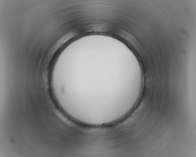 X0000113611026200910161924