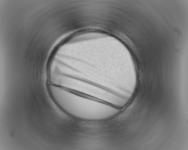 X0000113611028200910161924