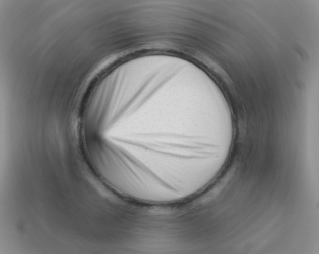 X0000113611029200910161924