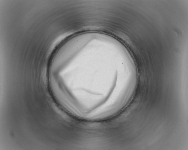 X0000113611030200910161924