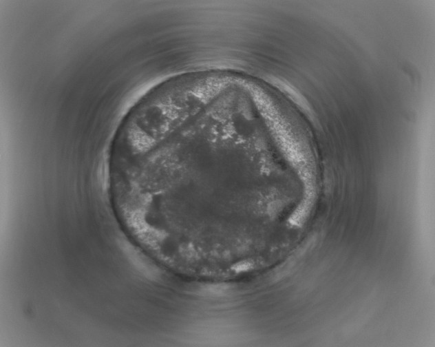 X0000113611031200910161924