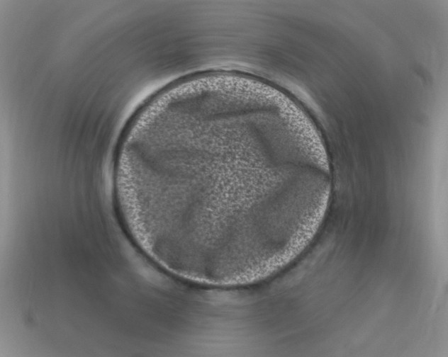 X0000113611032200910161924