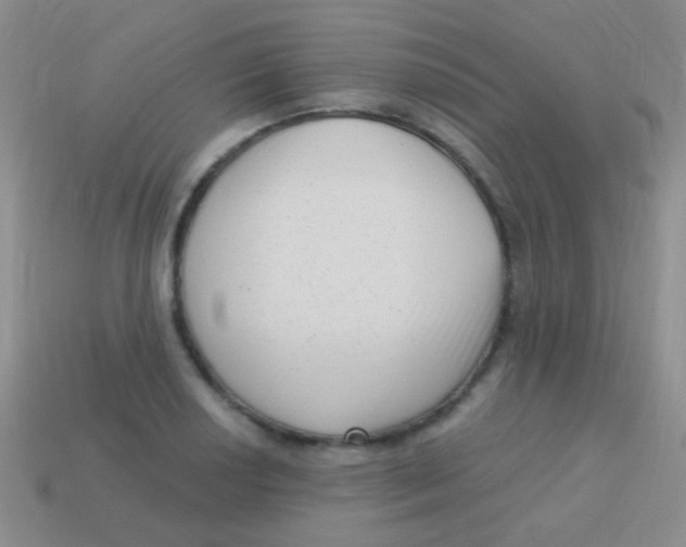 X0000113611034200910161925