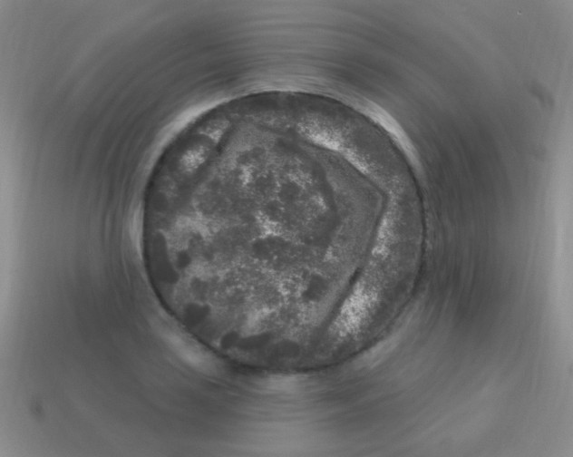 X0000113611035200910161925