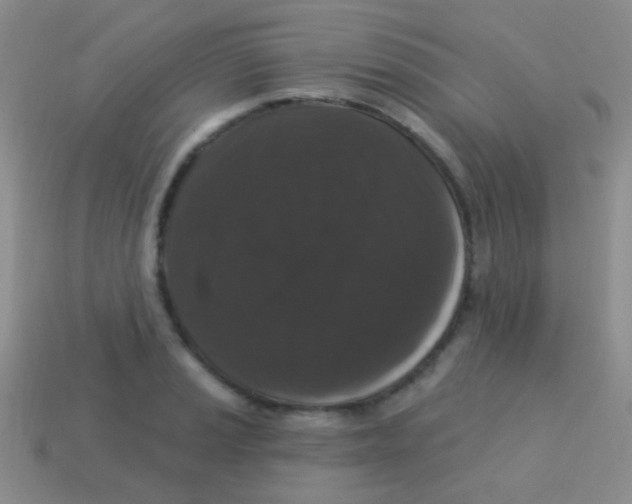 X0000113611037200910161925