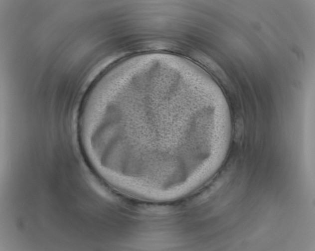 X0000113611039200910161925