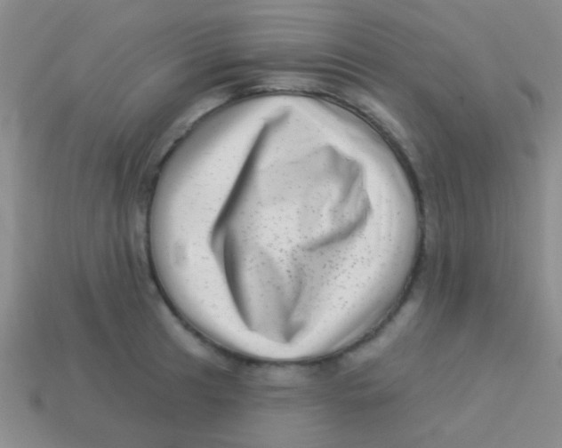 X0000113611041200910161925