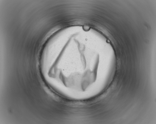 X0000113611042200910161925