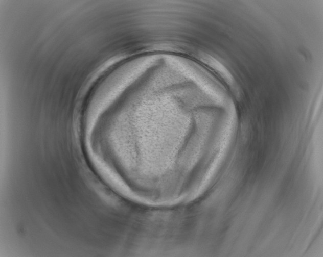 X0000113611043200910161925