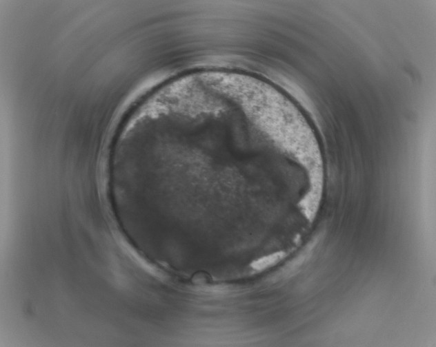 X0000113611045200910161925