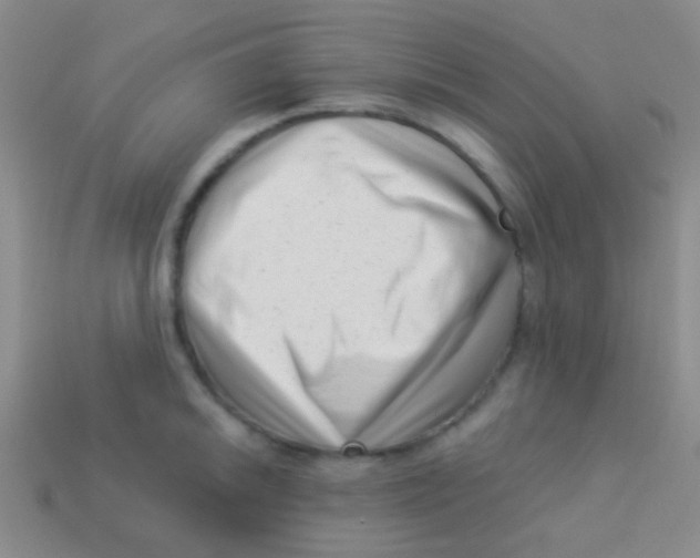 X0000113611046200910161925