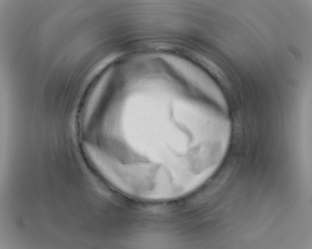 X0000113611047200910161925