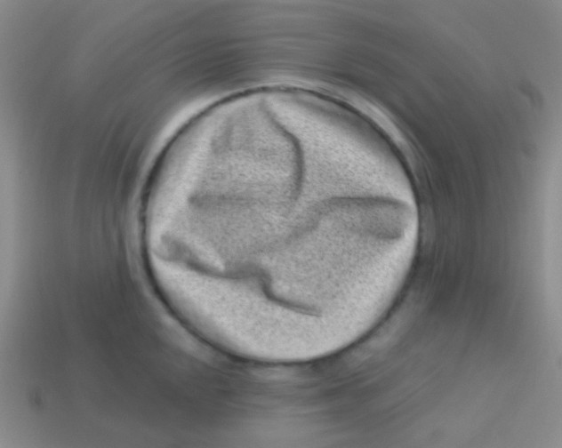 X0000113611048200910161925