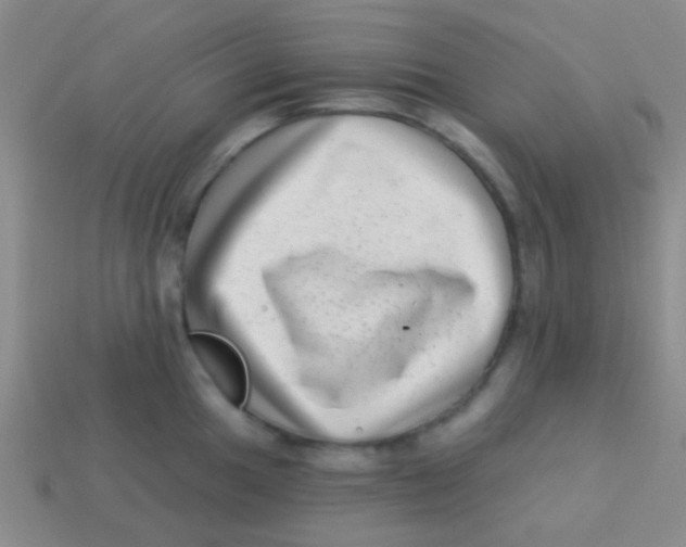 X0000113611049200910161925