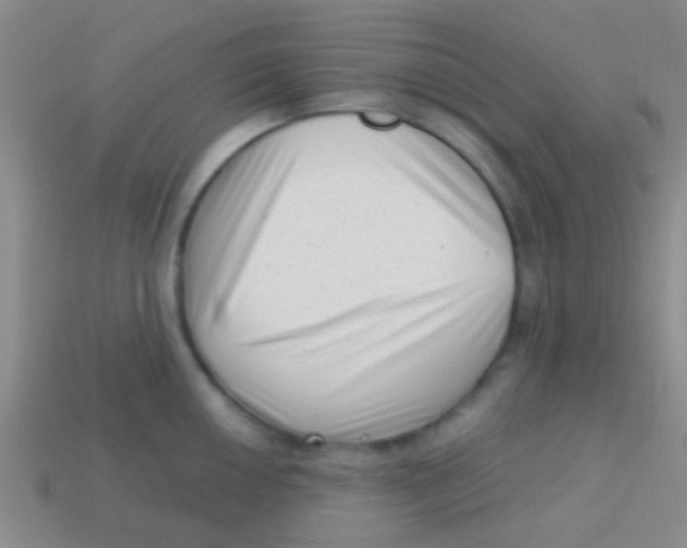 X0000113611050200910161925