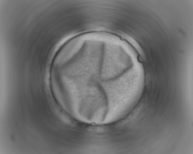 X0000113611051200910161925