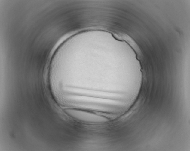 X0000113611052200910161925